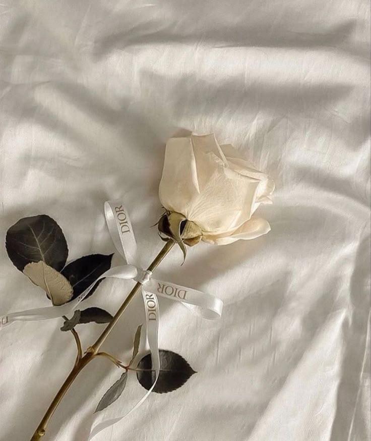 Eternal Elegance Blooms Collection